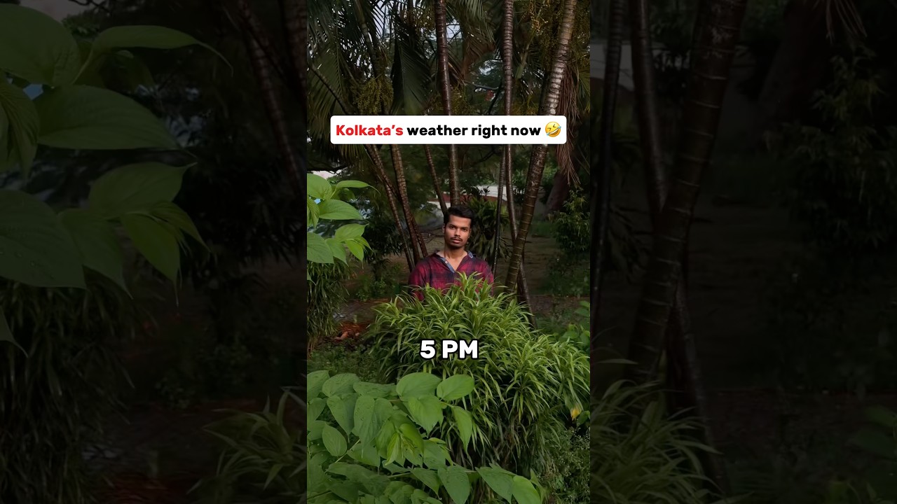 Ye kaisa mousam h 😭 #kolkata #weather #rain #trending #viralshorts #explore #relatable #memesdaily