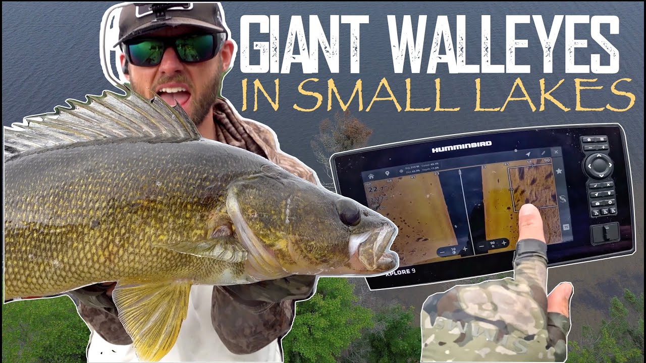 Fishing for GIANT RARE Walleye in TINY Lake!
