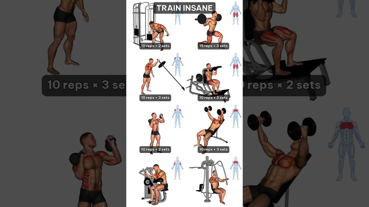Build Muscle Fast 💪