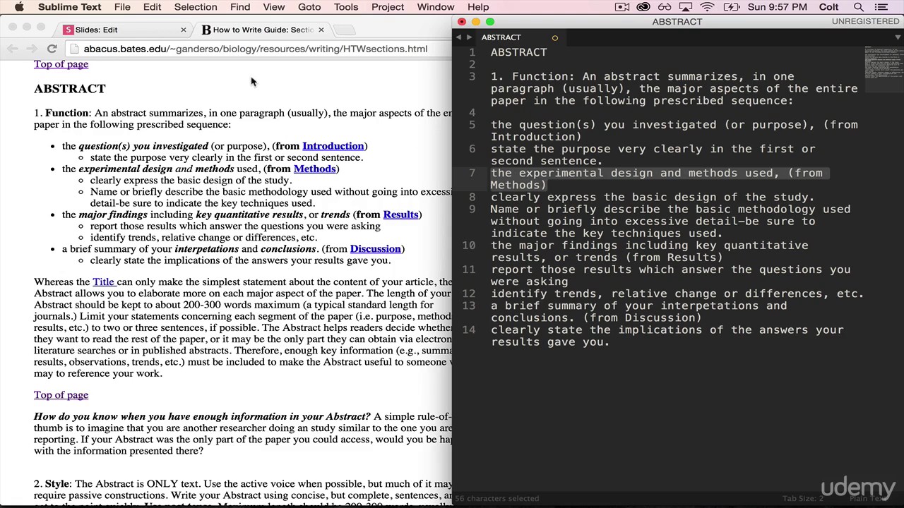 HTML Basics
