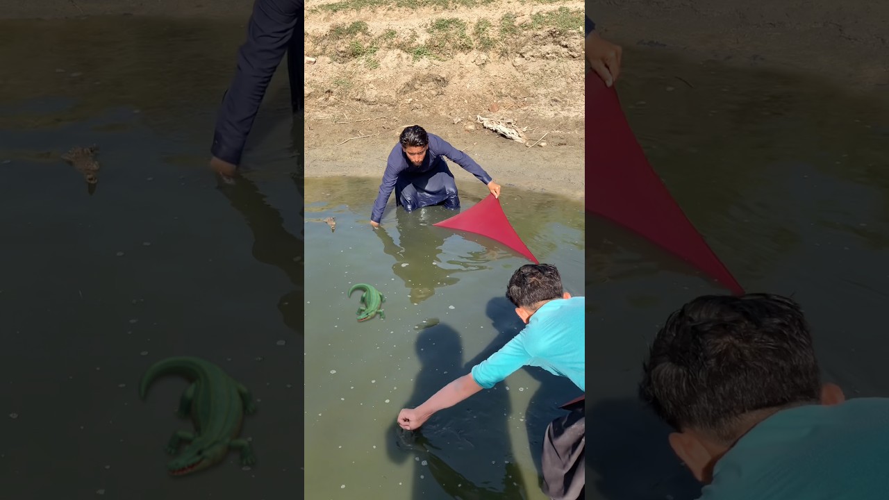 “Monster Catch Alert! 🐟🐠🐬😱🎣” #fish #fishing #fishtips