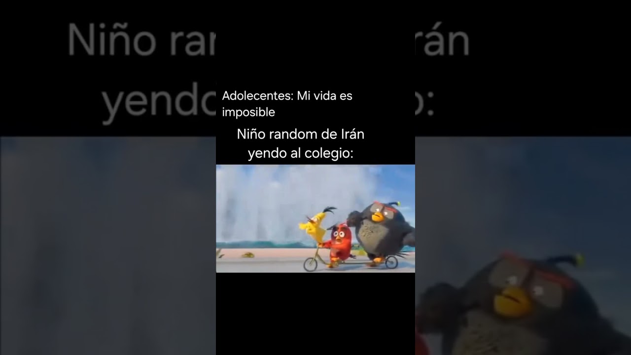 #memes #parati #humor #angrybirds