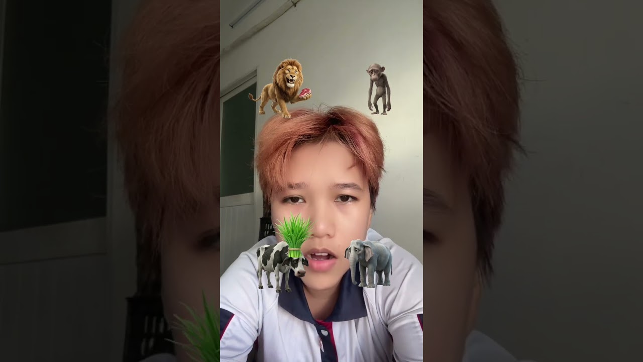 Bò không được ăn cỏ #mukbang #amsr #kensupermen