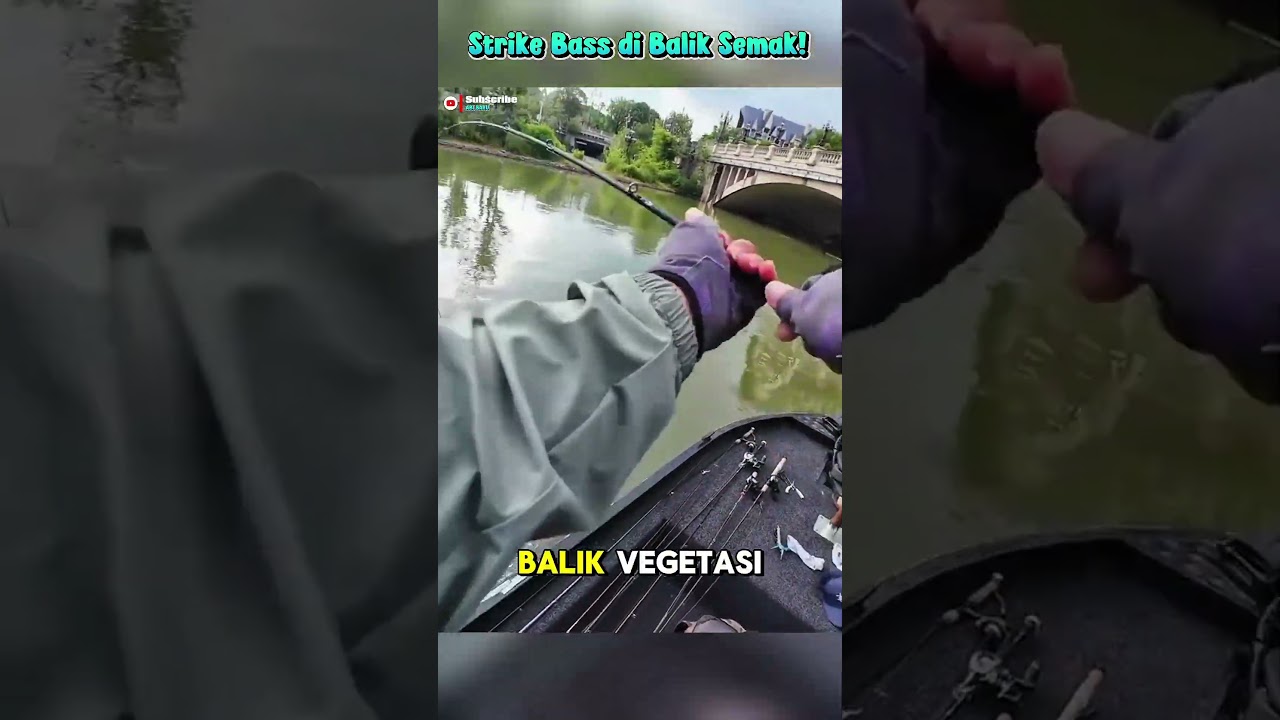 Teknik Mancing Topwater Menggunakan Rat Lure #shortvideo #fishing #faktamenarik