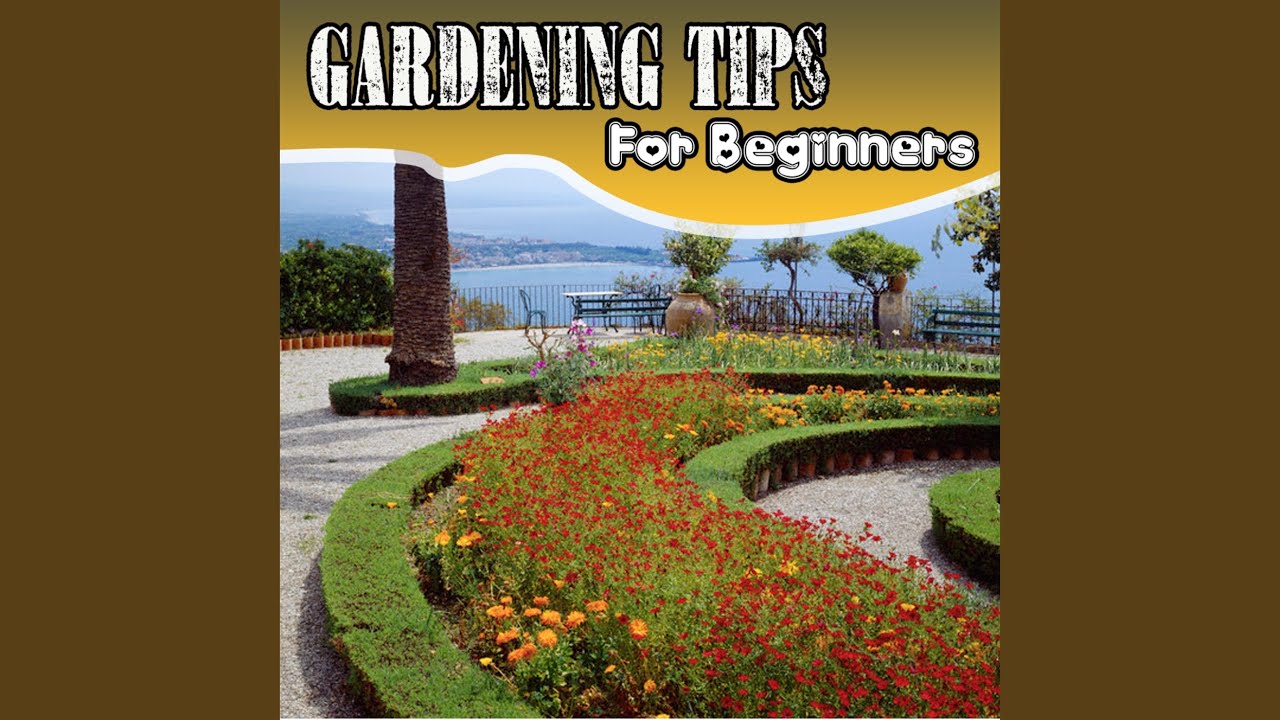 Getting the Best Plants for Your Garden