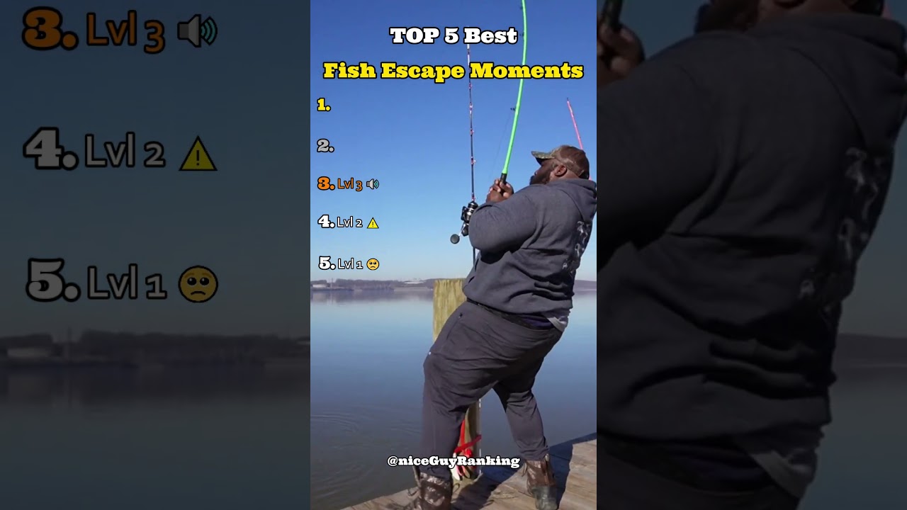Top 5 Fish Escape Moments 🎣 #fishing #tiktok #best