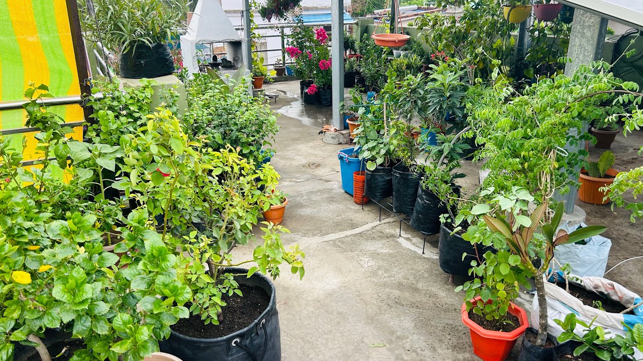 आज तो आचानक से मौसम ही बदल गया🌿🌱☔️☔️☔️☔️☂️☔️