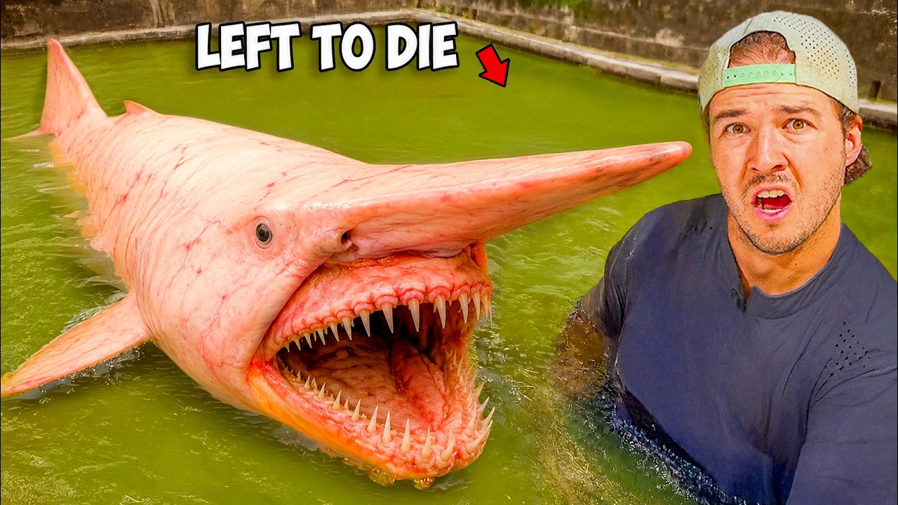 Buying an Abandoned Shark and Transforming It's Home...