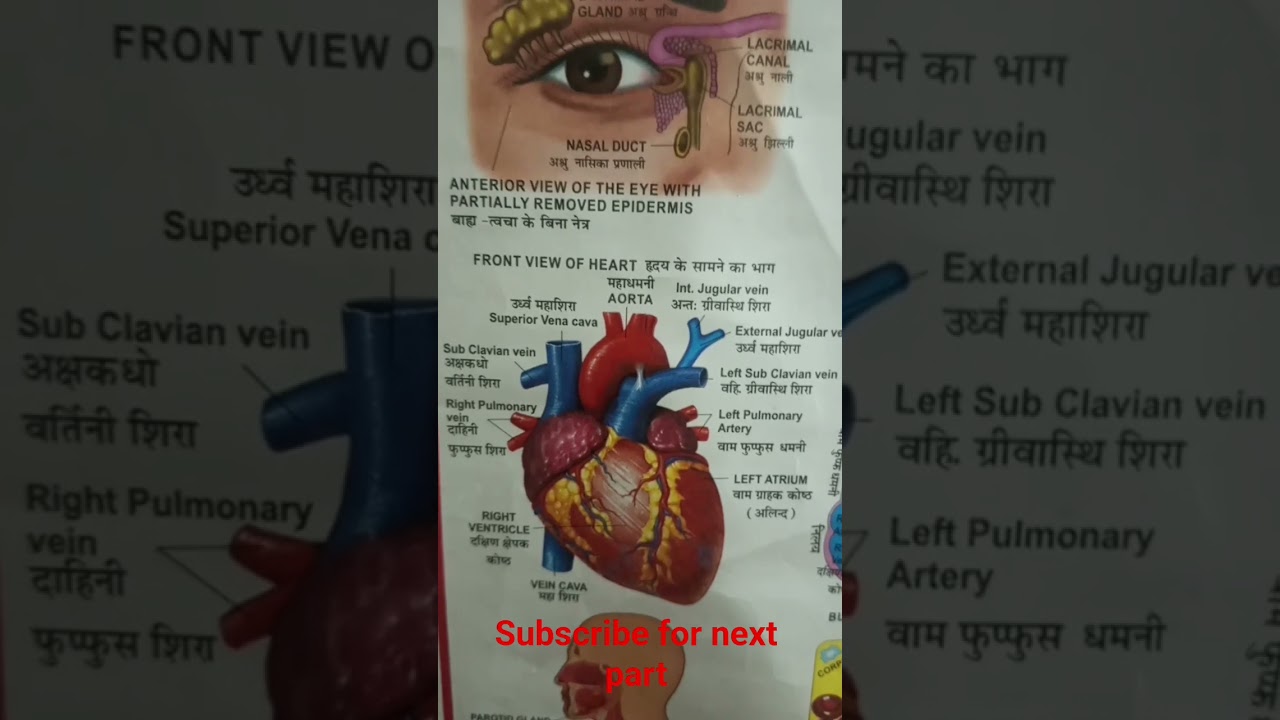 science se important photo part 3
