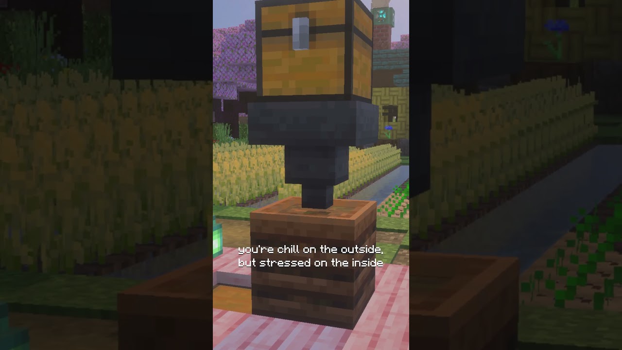 POV YOU'RE A HOPPER