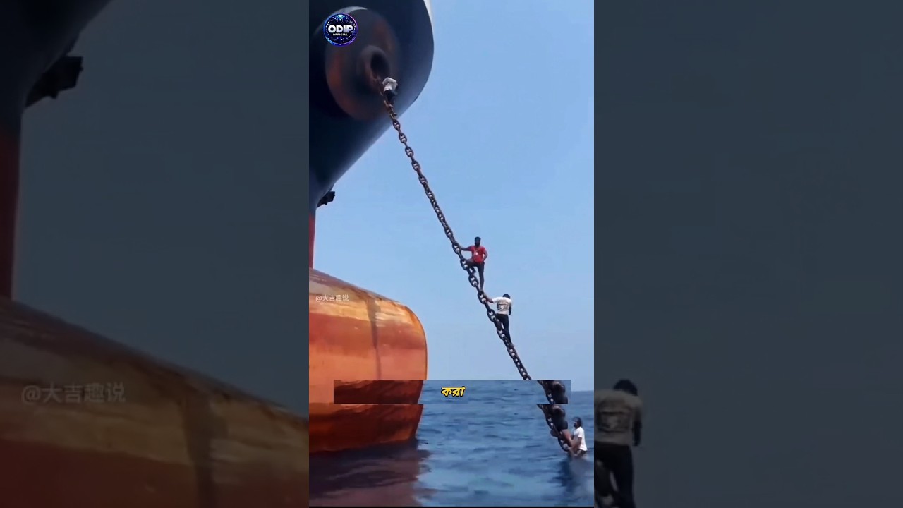Pirates Boarded the Ship… Then the Crew Vanished! 😱 | The Hidden Citadel on Cargo Ships