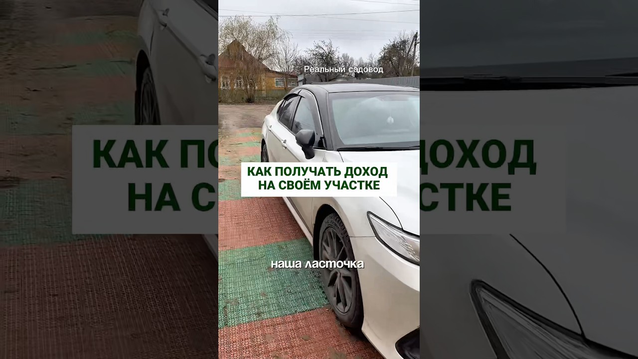 Доход со своего участка #питомникрастений