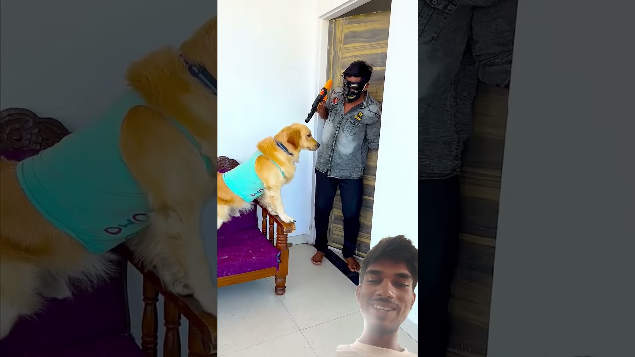 कैसे मेरे डॉगी ने आज चोर को पकड़वाया😱 #funnydogs #shorts