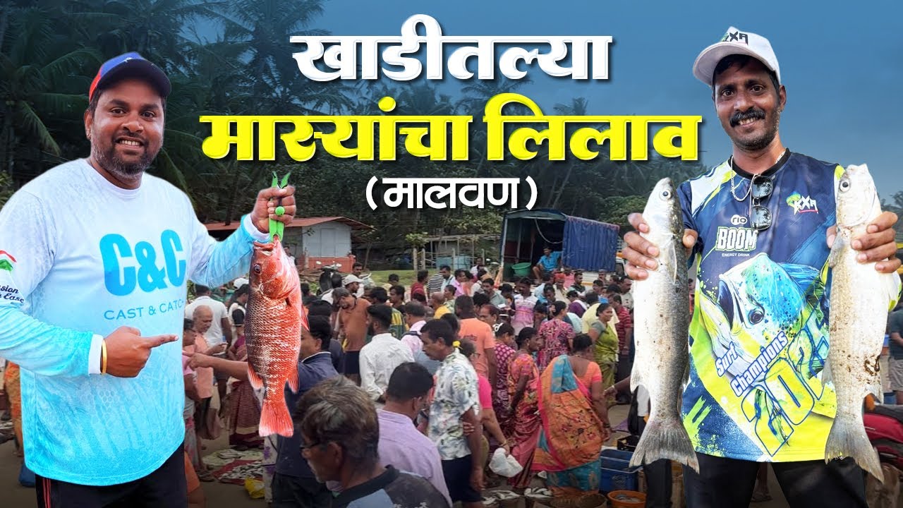 मालवणचा मास्यांचा लिलाव | पावसाळ्यातील खाडीतले मासे | पारंपरीक मासेमारी 
