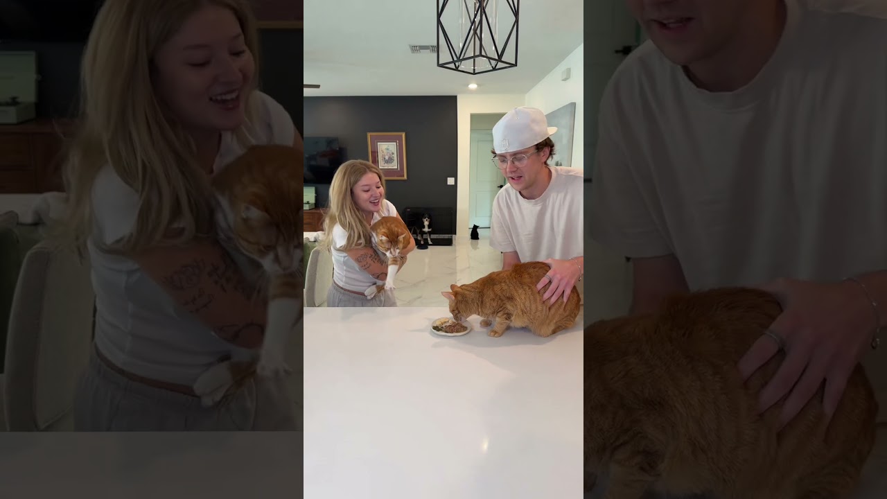 Fastest cat wins 👀