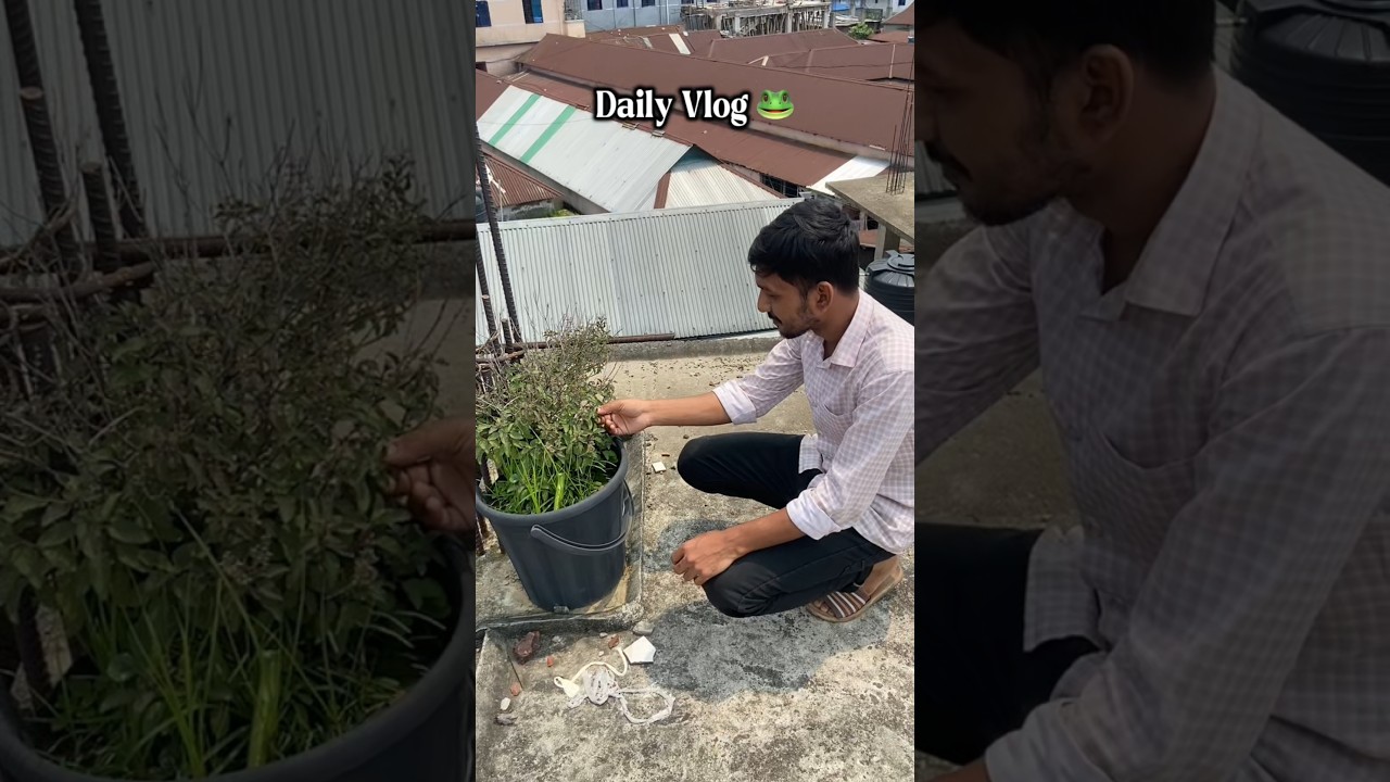 Daily Vlog 🐸 Part 14 #shorts