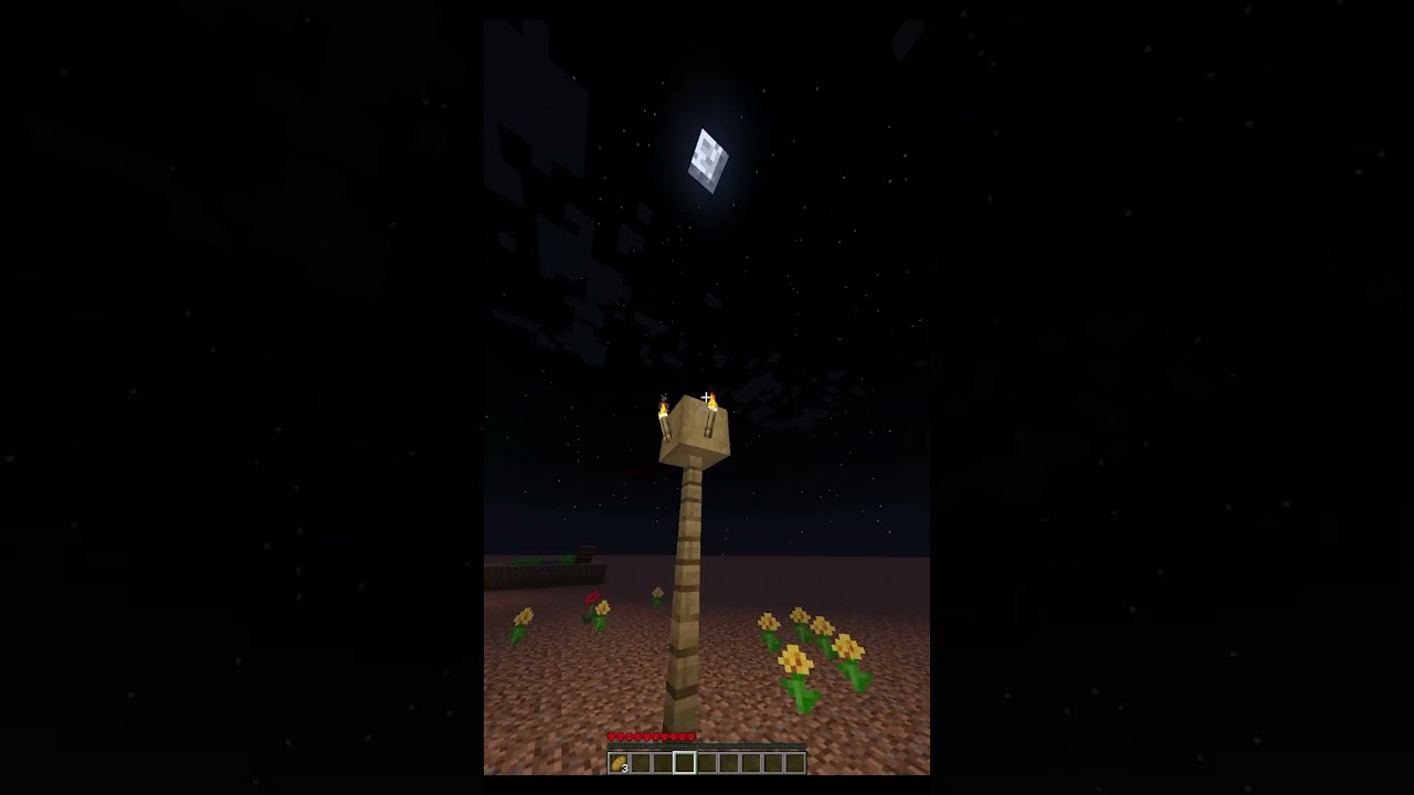 Vieron algo raro? #minecraft #minecraftshorts #humor #humorviral #mods #verity
