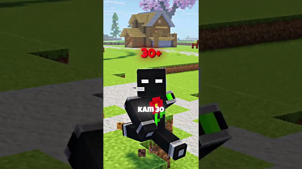 I found the most common item in Minecraft