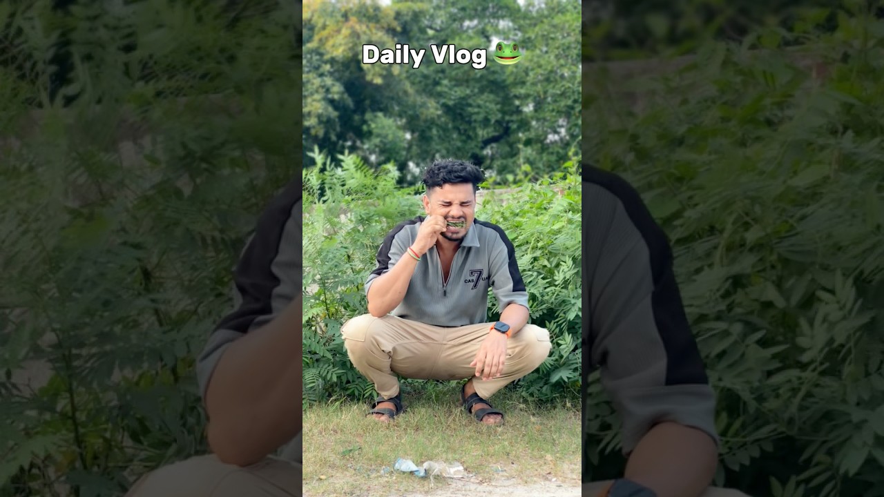 Daily Vlog 🐸 Part - 36 #shorts