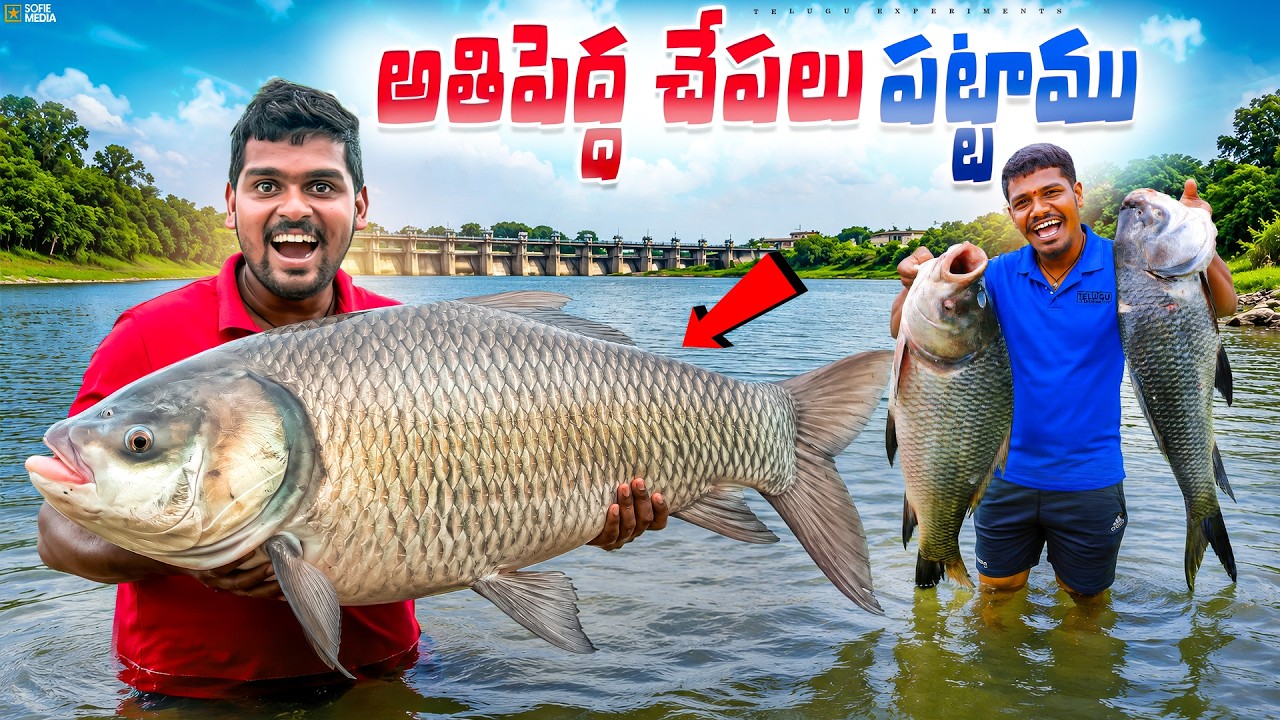 Amazing Big Size Rohu Fishes [PART-2] 🐟🐟 Catching - Gone Amazing 🔥🔥 Telugu Experiments