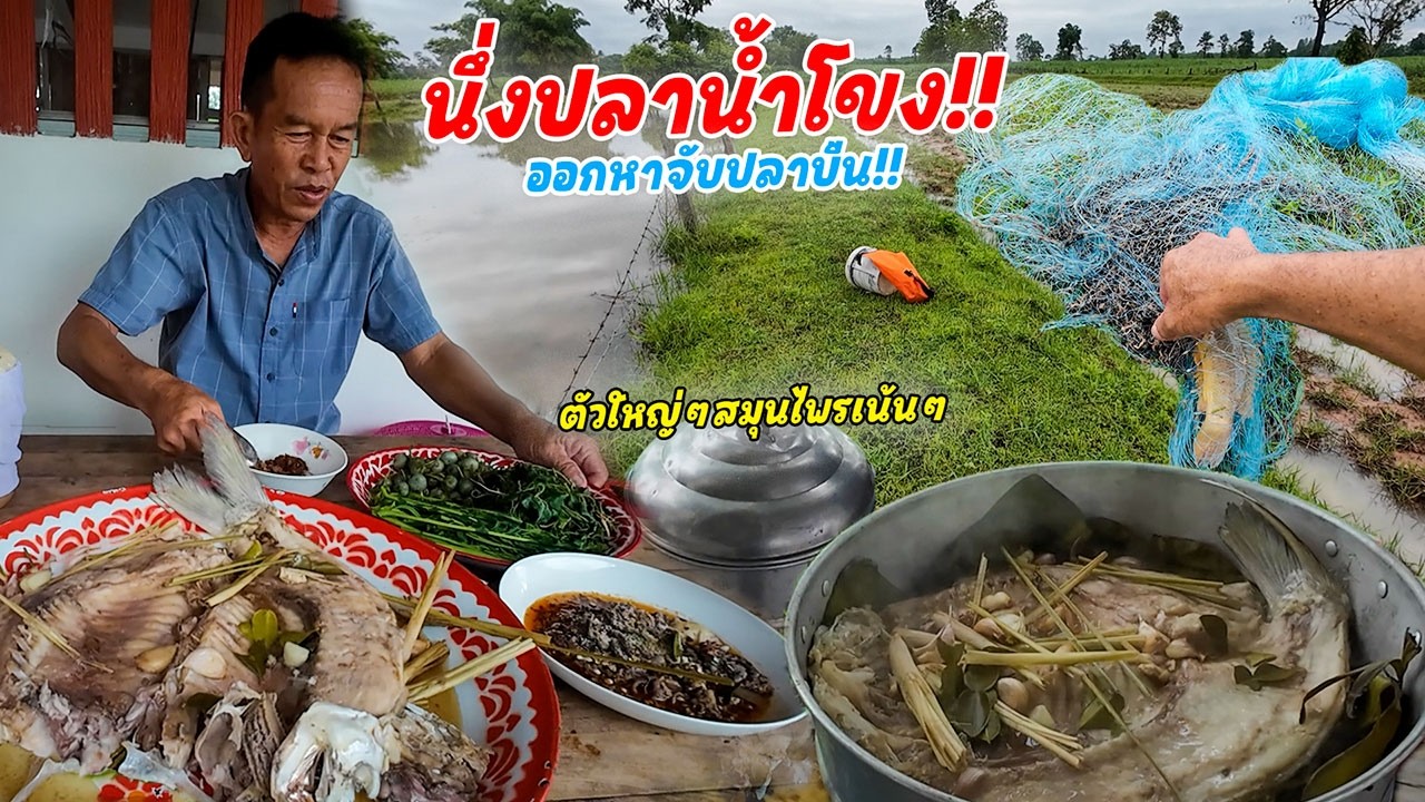 นึ่งปลาน้ำโขงใหญ่!! ออกไปนาจับปลา ทำเมนูอีสานแซบๆกินกับข้าวเหนียวร้อนๆ สุดท่อนั้น!!