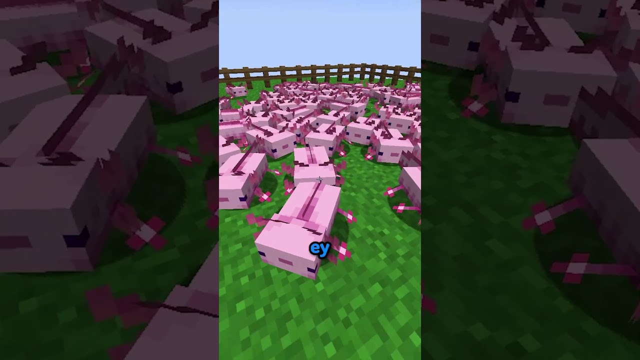 que comen los ajolotes? #minecraft #shorts