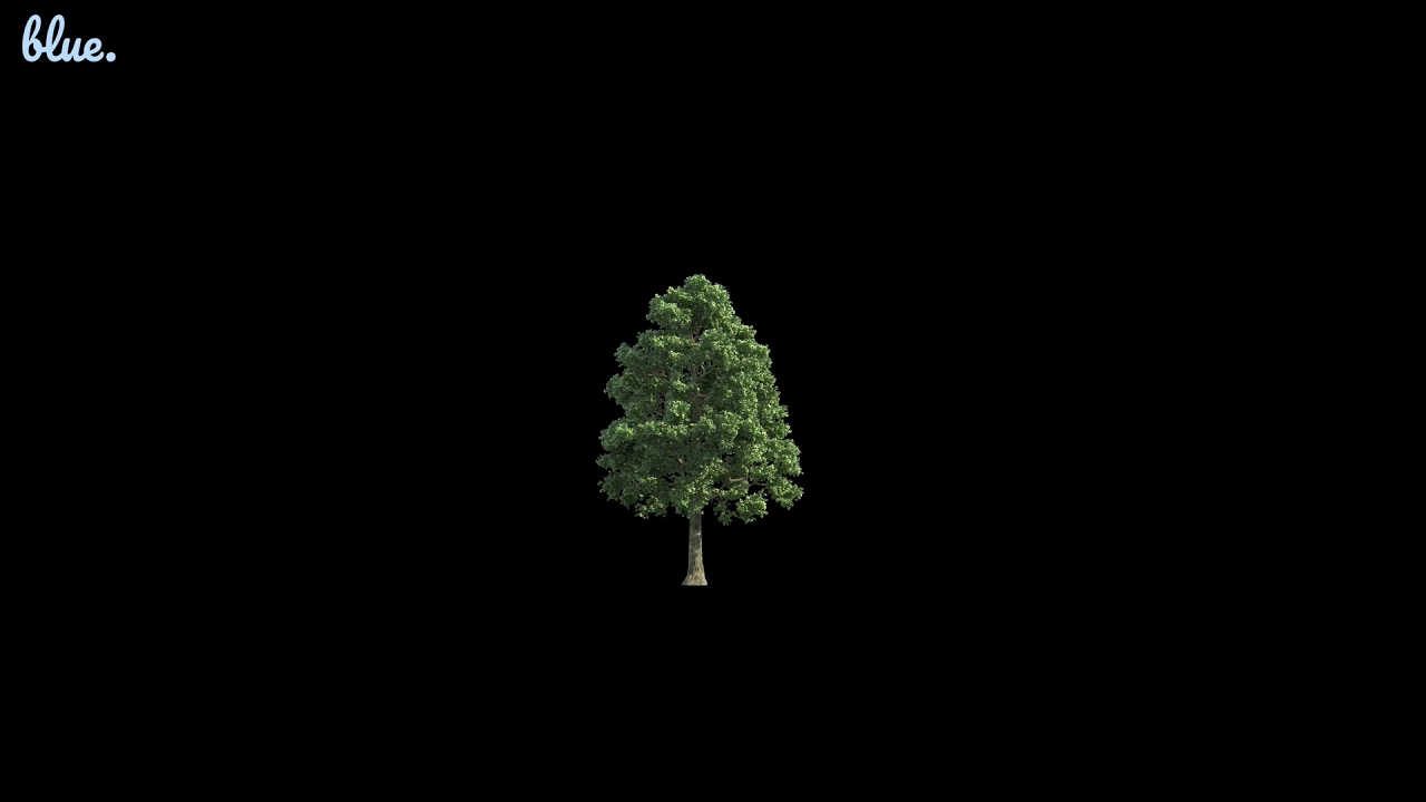 [FREE] FRANK OCEAN x RRAREBEAR TYPE BEAT | 'FOREST' | BLUE BEATMAKING CO.