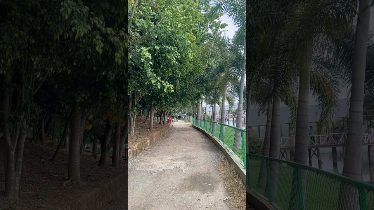 Beautiful Of Pinewood Garden🌿 💖🪴 #viral #manipur #love #trending #ytshorts #shorts #song