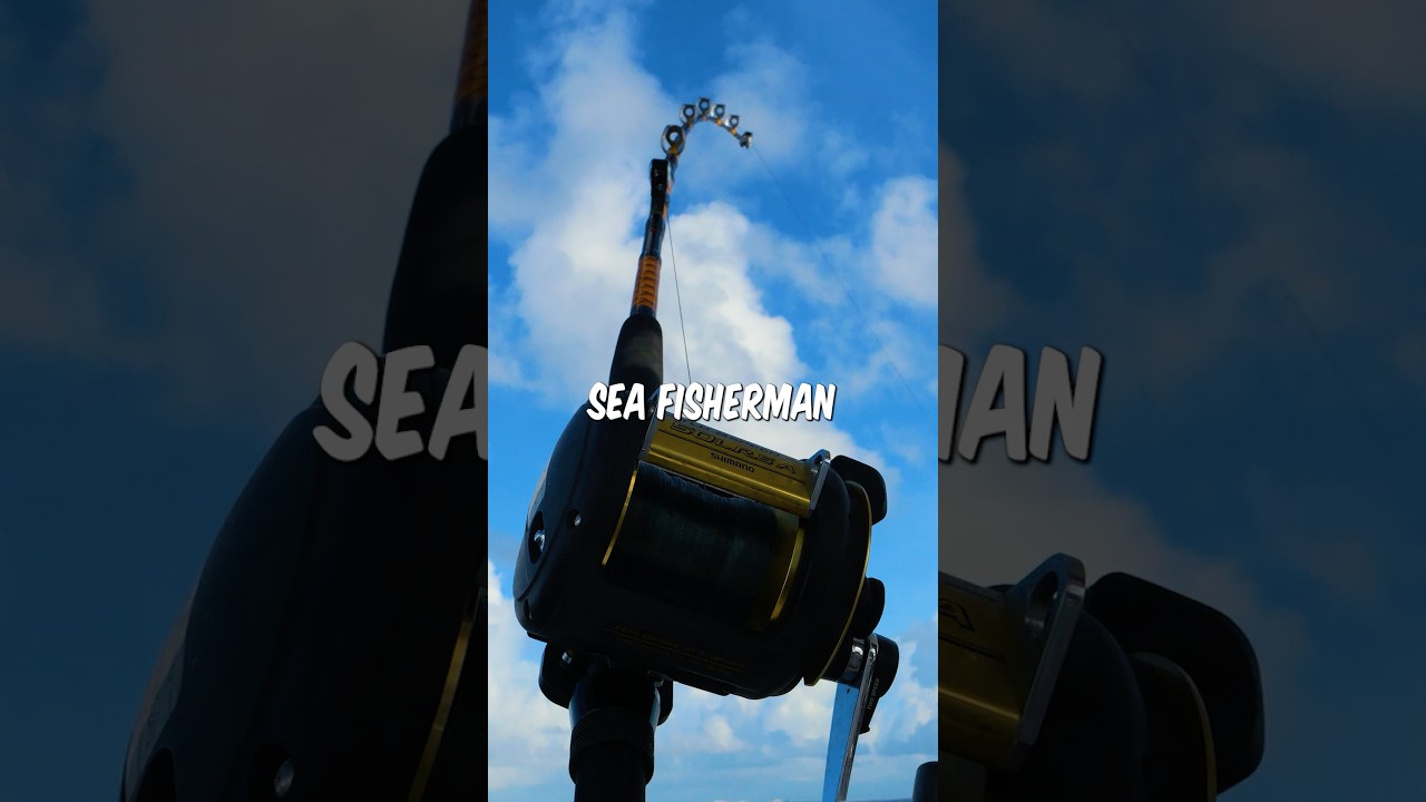 Every Deep Sea Fisherman Dreams Of Catching THIS Fish! #fishing #shorts