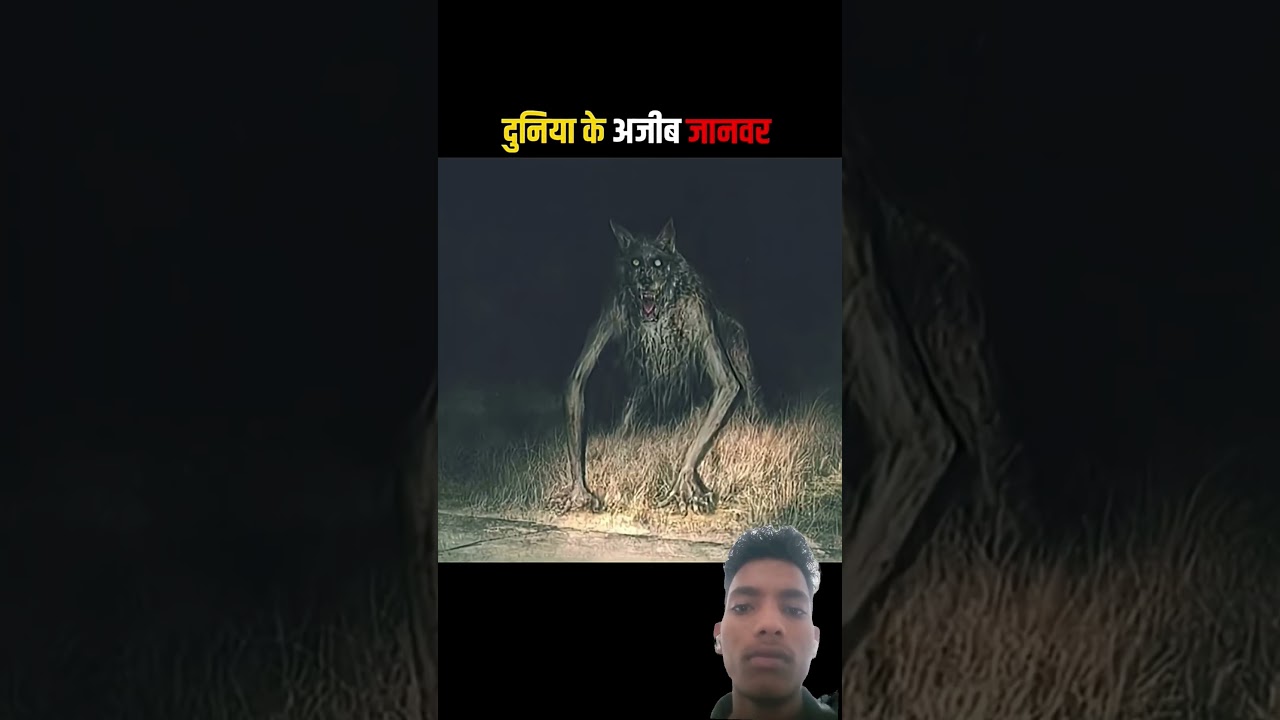 #bhoot #facts #horrorstories #cartoon #amazingfacts #factsero #viral #5minuteeverything