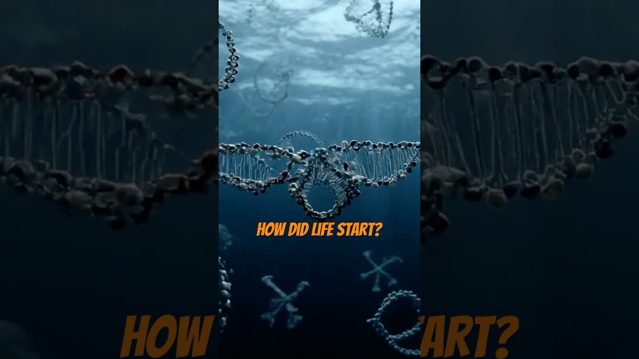 A Scientist Ran the Numbers on How Life Began… and Got Disturbing Results #Space #Astronomy #Shorts