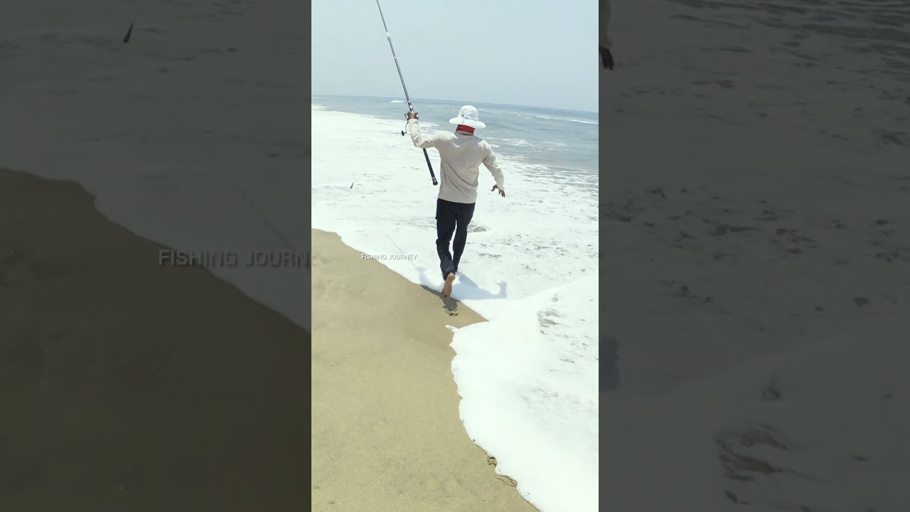 Full Video Link In Down 👇👇👇 #fishing #shorts #fishingvideo #camping #trending #fish #ocean #beach