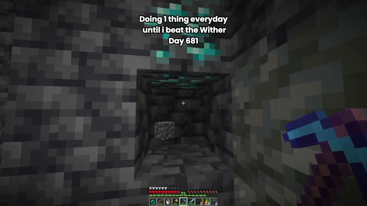 Day 681 Of Doing 1 Thing Everyday Until I Beat The Wither