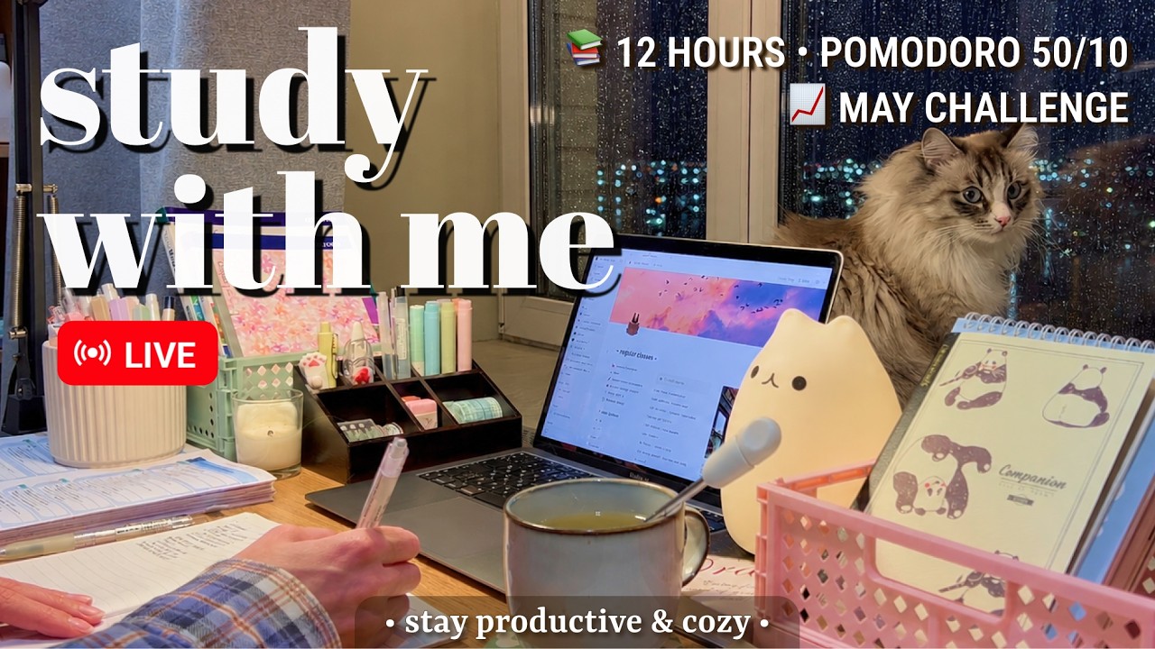Challenge 📚 12 Hours • Study With Me • Pomodoro 50/10 | Relaxing Fireplace Sound
