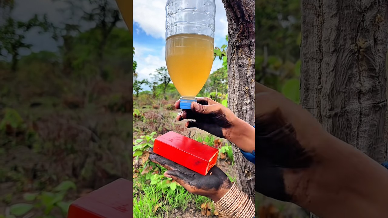 Survival Skills Mom Shows How to Make Soap and Water in forest #campping #outdoors #useful