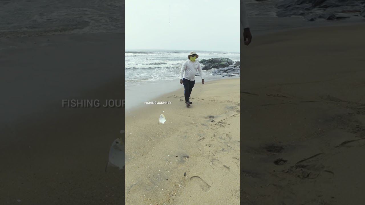 🎣 One Cast, One Dream #fishing #shorts #fishingvideo #camping #trending #fish #ocean #beach #catch