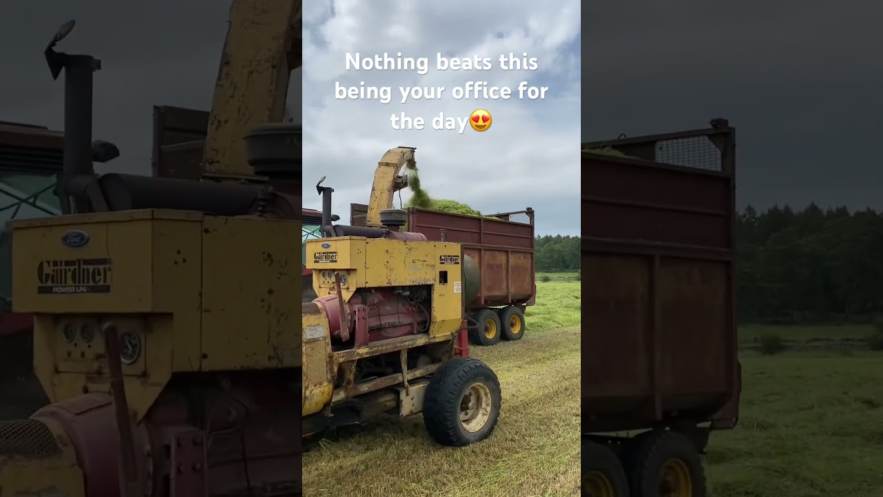 Nothing beats this being your office everyday 😍 #farming #farm #singing #farmlife