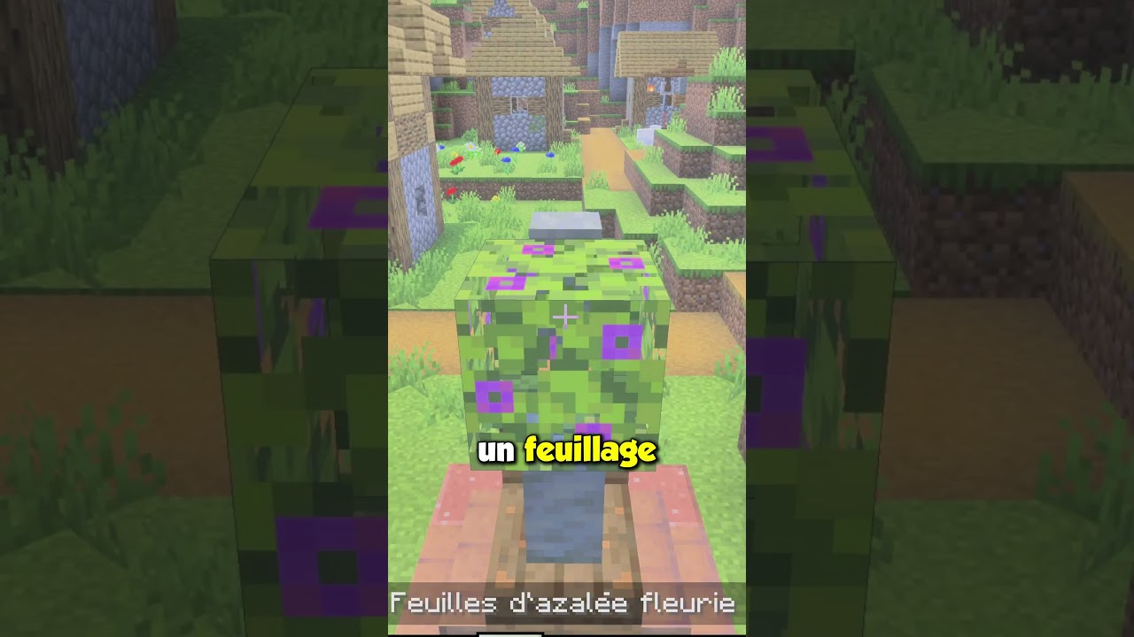 Ce BUILD HACK t’APPROVISIONNE sur MINECRAFT ! 😲