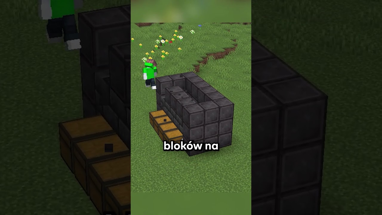 CZWARTY GENERATOR W MINECRAFT