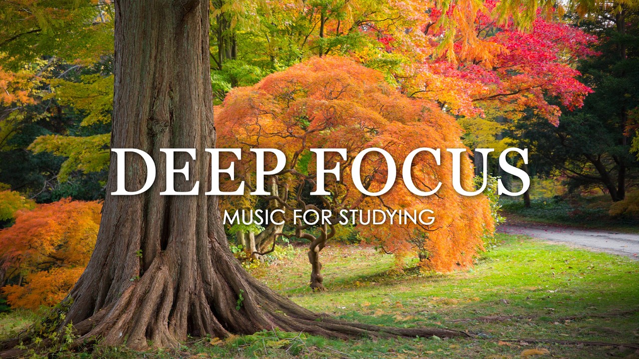 Deep Focus Music To Improve Concentration - 12 Hours of Ambient Study Music to Concentrate #6