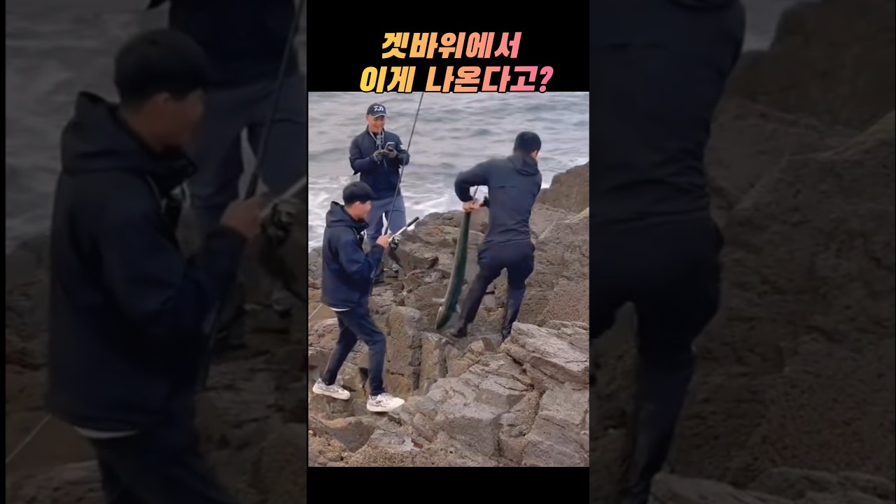 와 끝내준다 이걸 잡는다고? #겟바위찌낚시 #fishing #낚시 #숏피싱