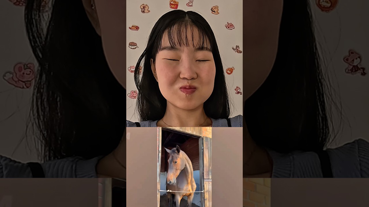 Try not to laughing challenge 382😹 #funny#videos#fyp