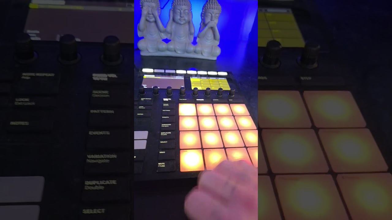 chops and 808s #beats ##beatmaking #maschine #808
