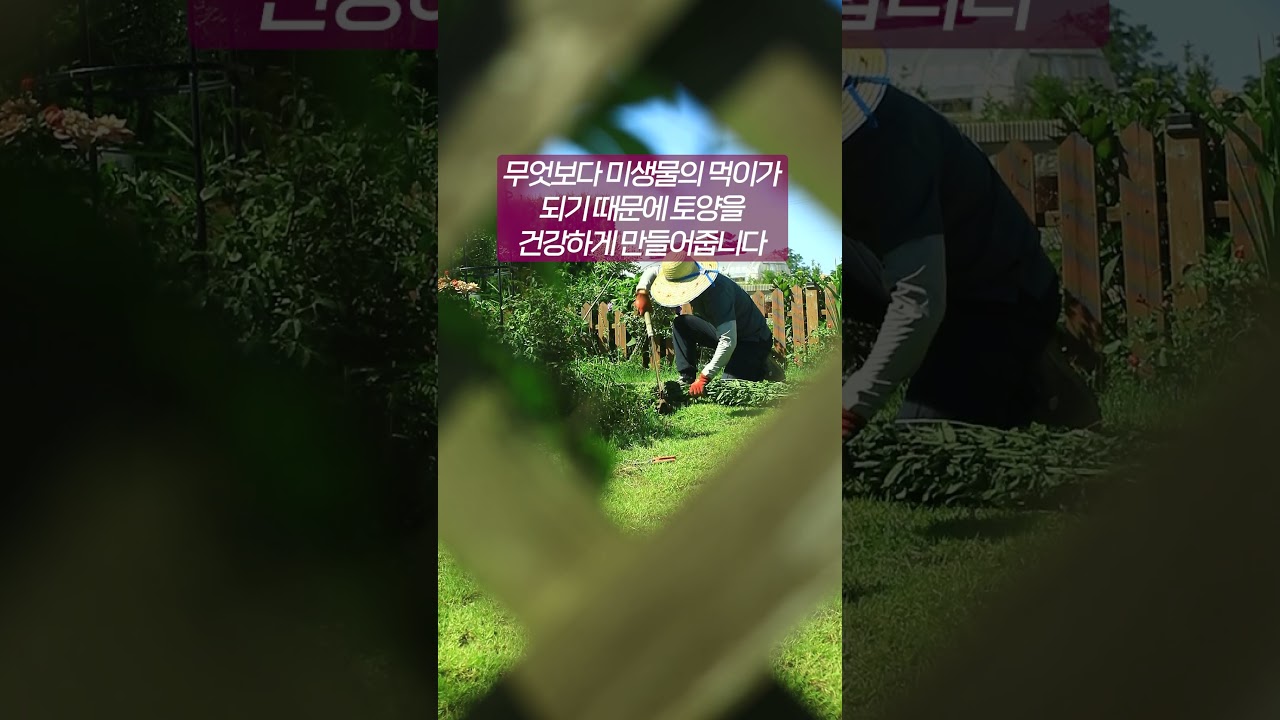 건강한 정원 만들기 #shorts #gardening #건강한토양