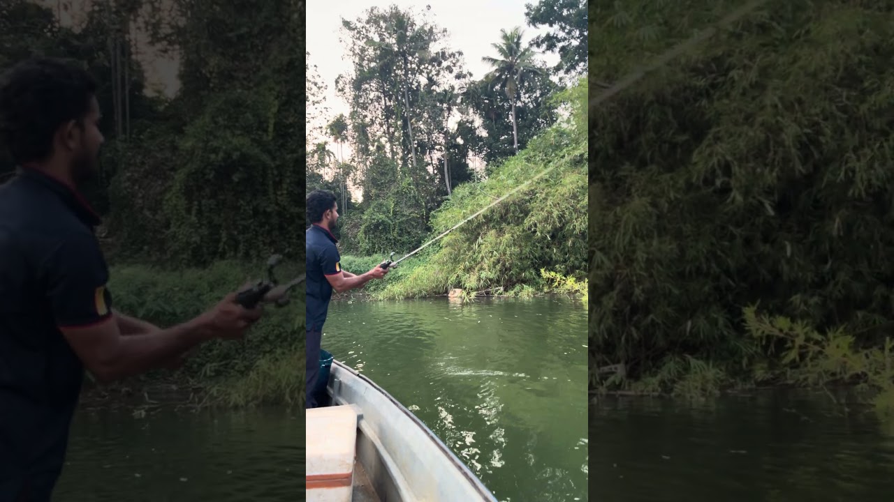 ദേ പറഞ്ഞതും മീൻ അടിച്ചു! #fishing #mansoon #travel