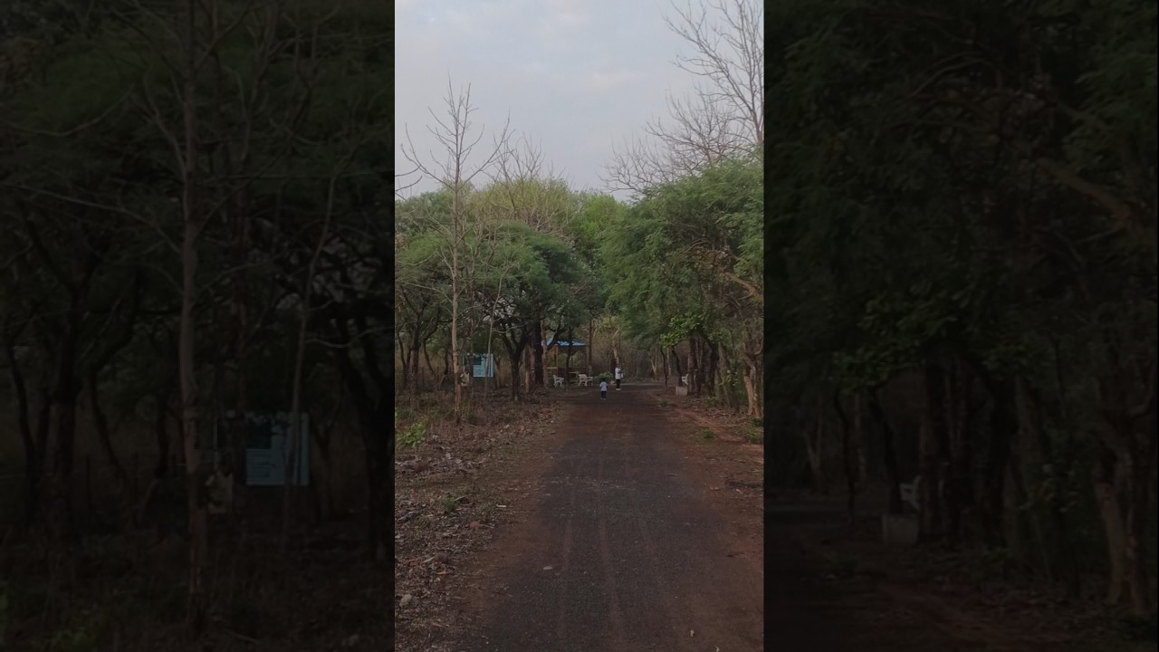अपने रास्ते खुद बनाए जाते हैं #shorts #trending #viral #youtubeshorts #shortvideo #motivation #yoga