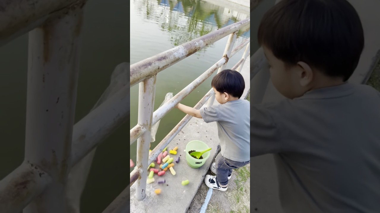 เทอาหารปลาสีๆให้ปลาดุก เทหกอีกแล้ว ko869