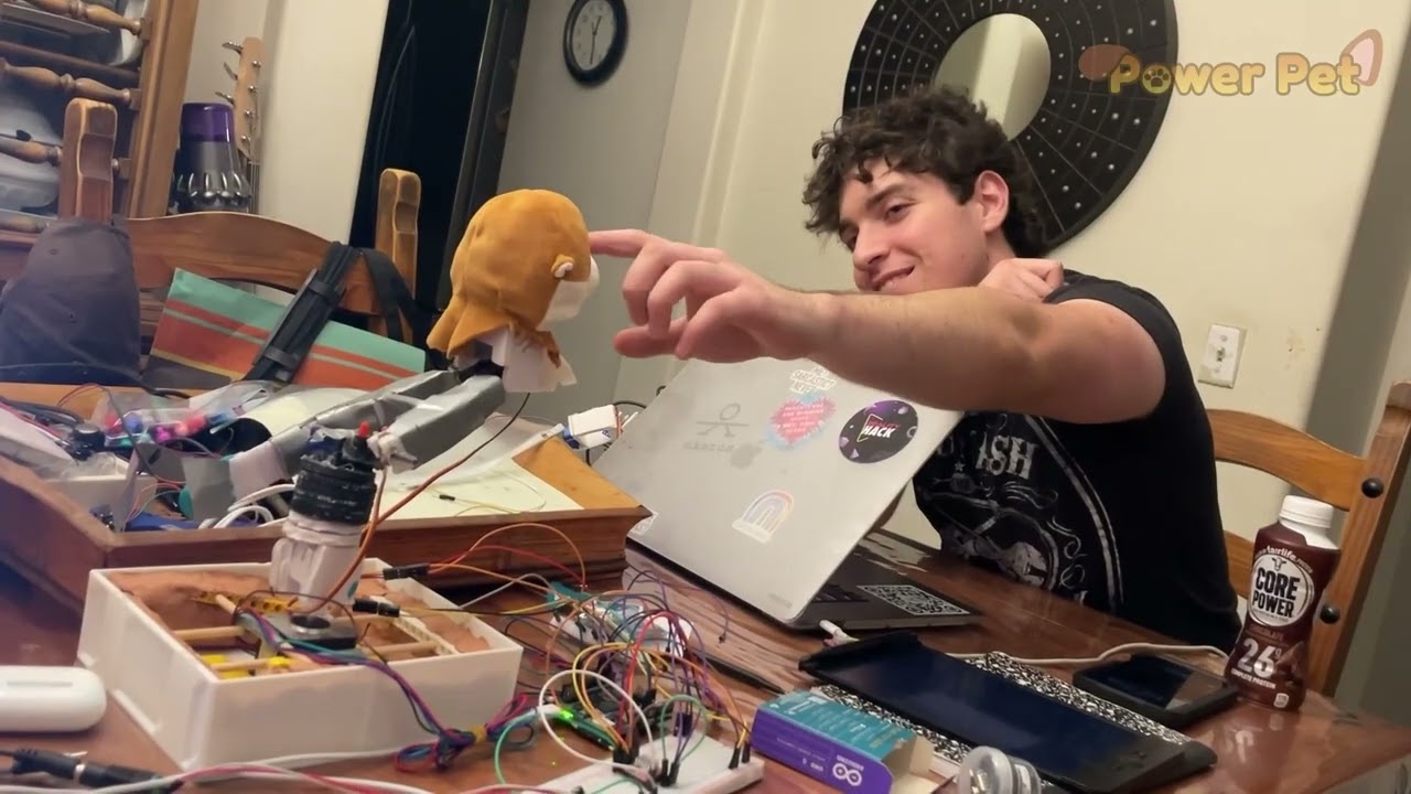 Power Pet: A Tangible VR Companion for Focus, Calm, and Emotional Regulation