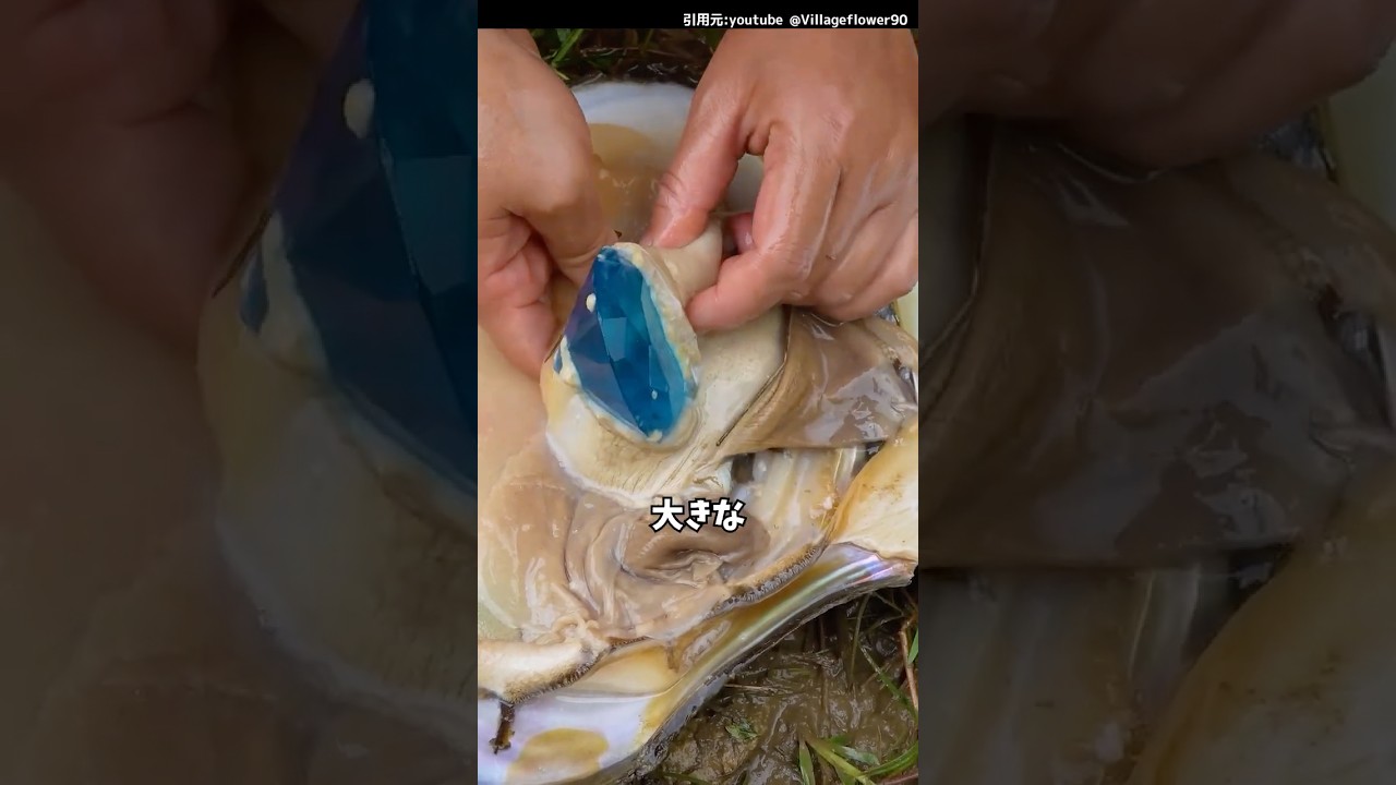 貝の中から・・・！！#釣り#魚釣り#衝撃#宝石#shorts