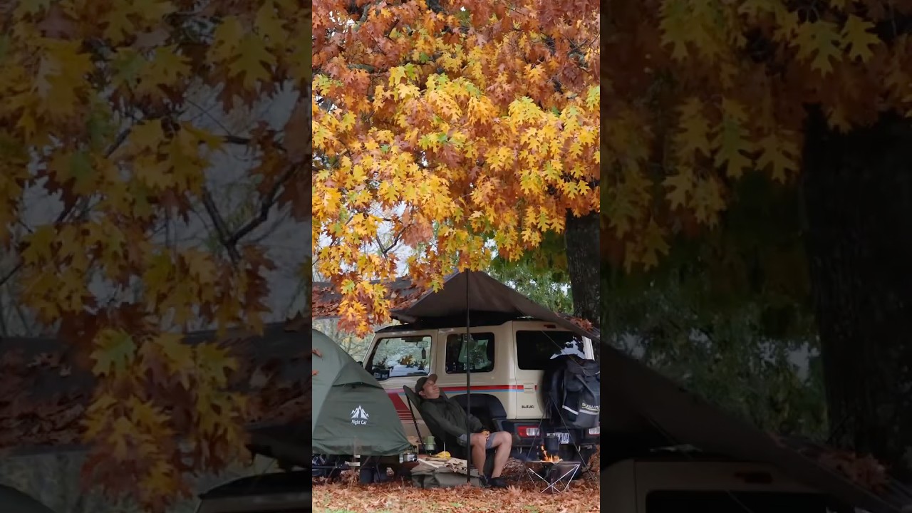 #shorts #shortvideo